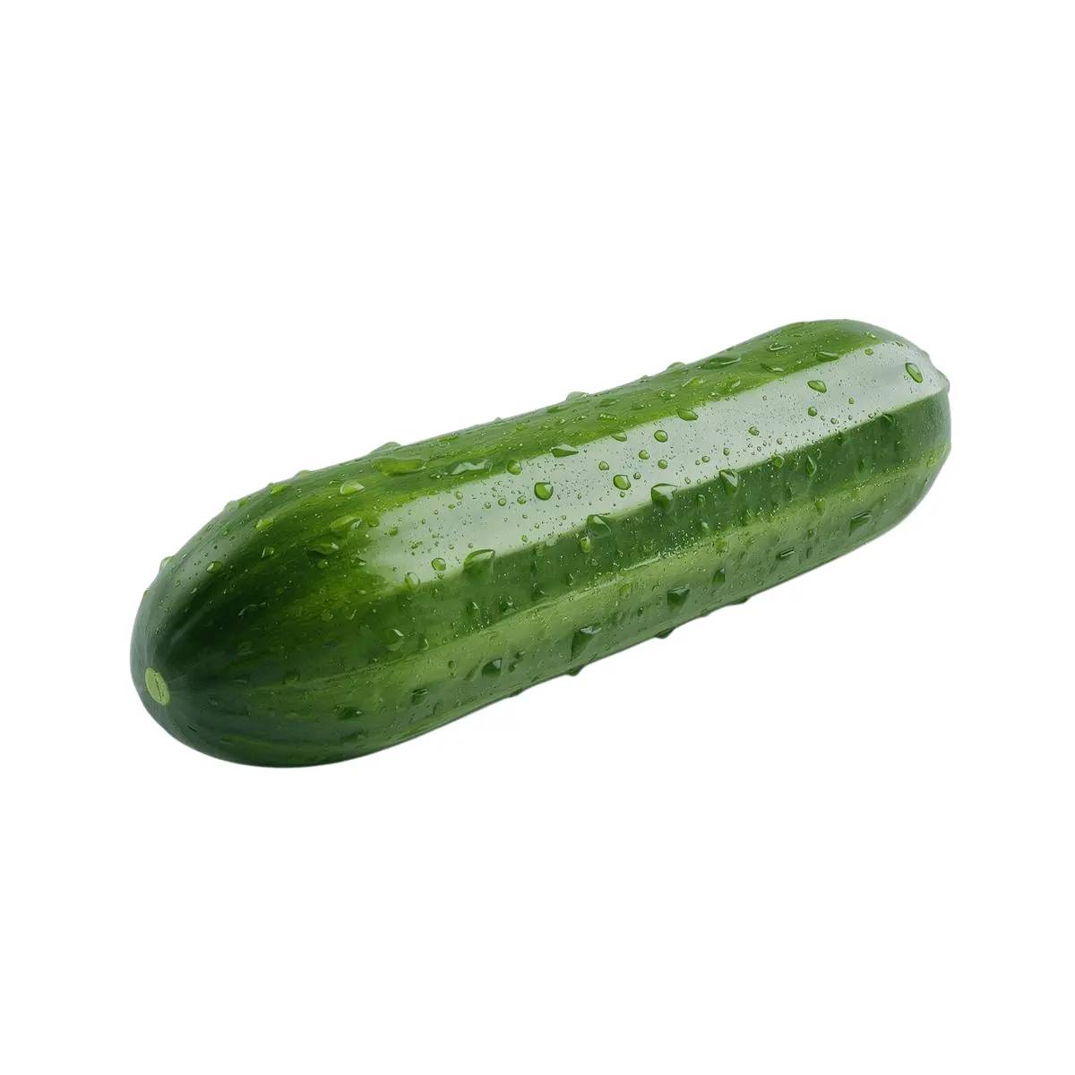 Salatalık