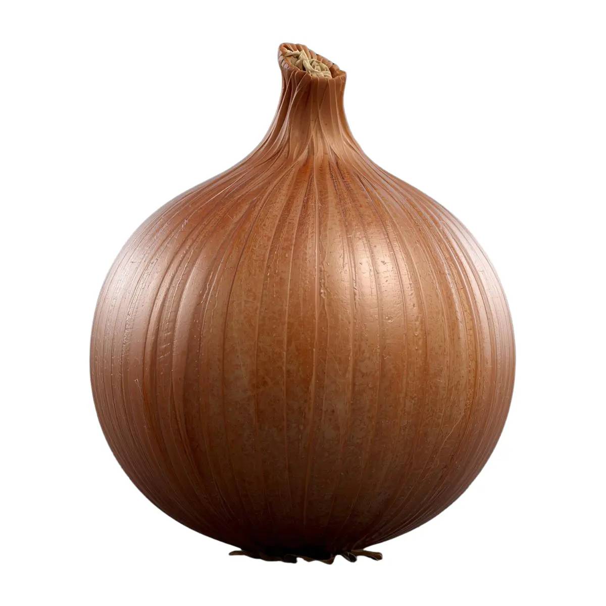 Soğan